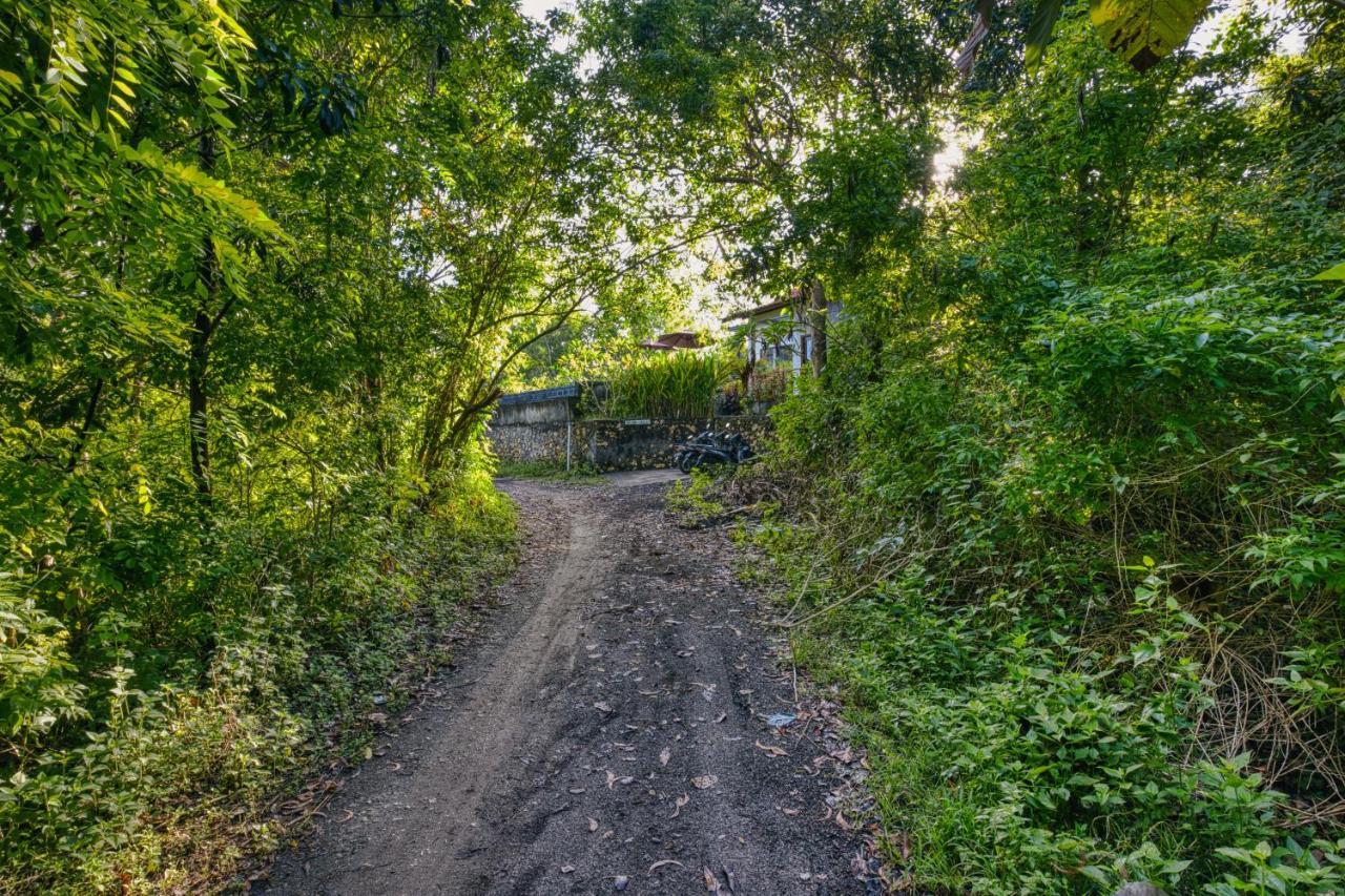 Le Green Village Toyapakeh Экстерьер фото